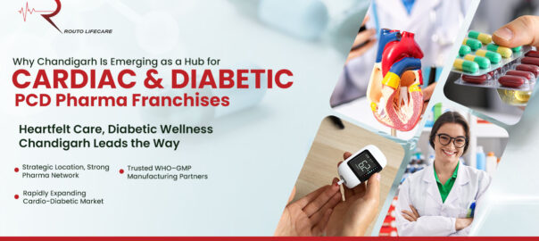 Cardiac and Diabetic PCD Pharma Franchise - Routo Lifecare
