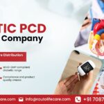 diabetic-pcd-franchise-company-india